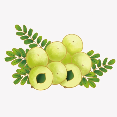 余甘子提取物產品介紹